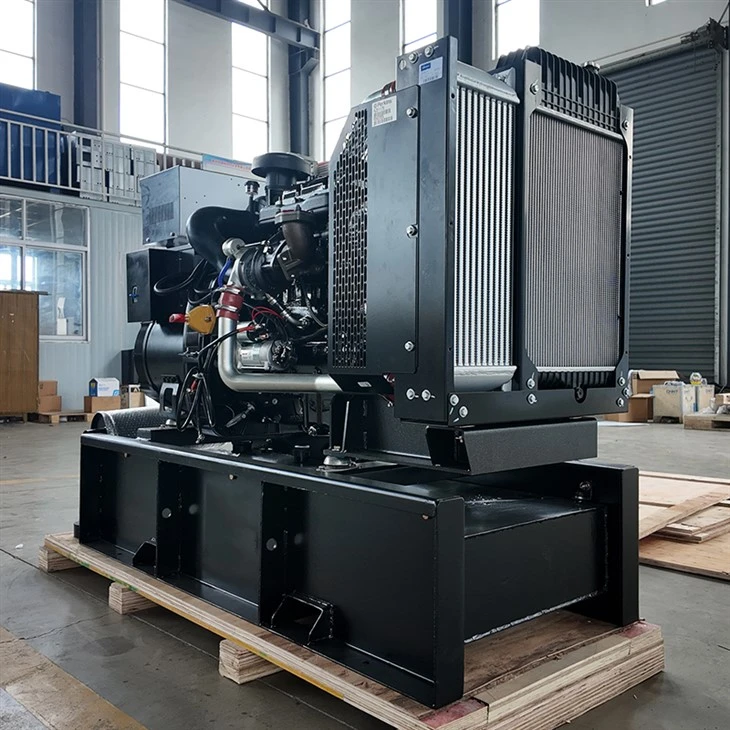 Perkins Power Generator best