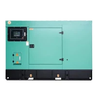Portable Diesel Generator With Electric Start
